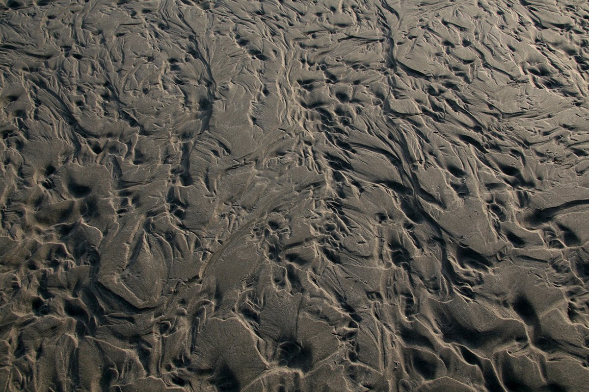 After the Flood II