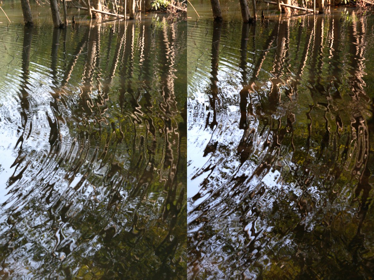 Pachmari Pond II