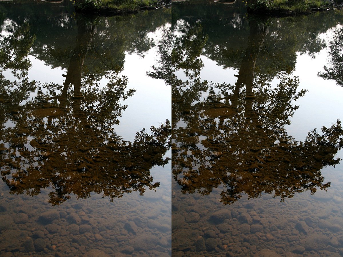 The Pond III