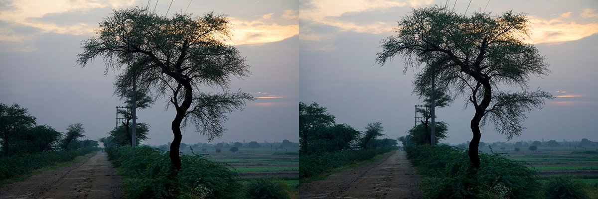Yamuna Embankment II