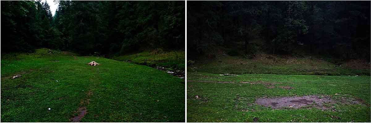 The Clearing
