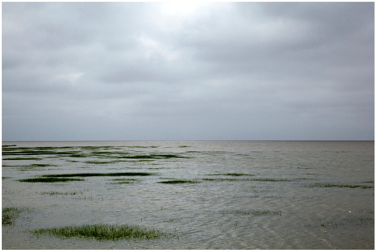 Inundation III