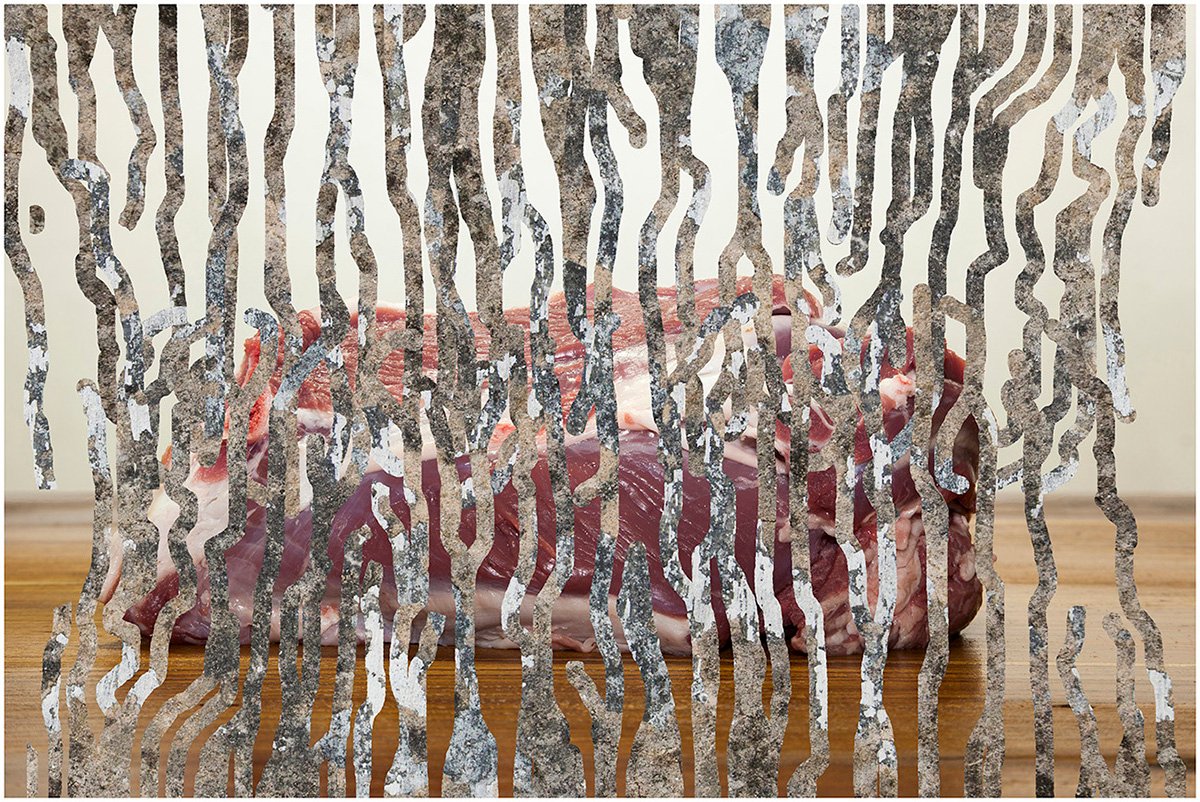 Still life with fictitious object II